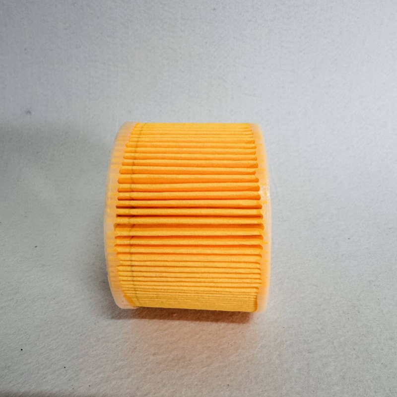  08102117 Air Filter